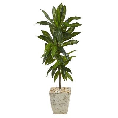 Nearly Natural 4-ft Dracaena Artificial Plant in Country White Planter (Real Touch)