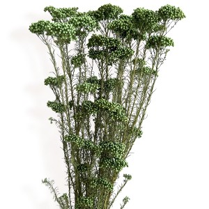 Alilang Decorative Dried Berry Stems for Home Decoration and Floral Arrangements, 17 Inches - 1 of 3