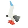 Collectible Wildlife Gifts | Red-Footed Booby, Hand Painted,  Realistic Plastic Bird Figure, Diorama, Model, Toy,  Gift,    2 Inches.   F1522 B150 - 2 of 4