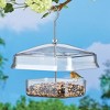 Collections Etc Squirrel Proof Hanging Canopy Bird Feeder 9 X 9 X 11 - 2 of 2