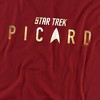 Star Trek Picard Picard Logo Rendered Adult T-Shirt Cardinal - 2 of 4