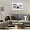 Stupell Industries Dusty Road Horse Photograph Framed Print Under Glass Art - 3 of 4