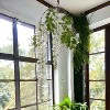 Floral Home 69" White Wisteria Spray - 12-Piece - 2 of 4
