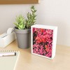 Bethany Young Photography California Blooms Framed Mini Art - Society6 - 2 of 3