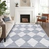 Machine Washable Checkered Rug - Non-Slip, Stain-Resistant, No-Shedding for Dining, Living Room, Bedroom - Easy Clean High Traffic Area Rug - 2 of 4