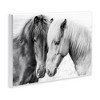 Stupell Industries Horse Love Duo Portrait, 15" x 10" - 3 of 4