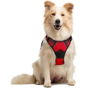 rabbitgoo Dog Harness No Pull with 2 Leash Clips, Control Handle for Medium Sized Dogs, Red, M - 1 of 1