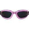 2 Pairs of Birdz Eyewear Cardinal Safety Goggles - 2 of 4