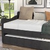 Twin Alisa Upholstered Daybed with Trundle - HOMES: Inside + Out - 4 of 4