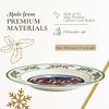 Spode Annual Collector Plate - 10" Porcelain Christmas Plate with Santa & Reindeer Scene, Holly Border - Microwave, Oven, Freezer, Dishwasher Safe - 4 of 4