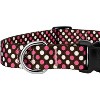 Country Brook Petz Deluxe Dog Collar - Abstract Collection - Made In The U.S.A. - 4 of 4