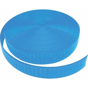 Teacher Created Resources Spot On Aqua Carpet Marker Strips, 25 Feet - 1 of 1