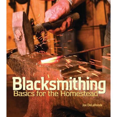Blacksmithing Basics for the Homestead - by  Joe Delaronde (Paperback)