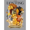 Boy's Lion King Pride Land Characters Pull Over Hoodie - 2 of 4