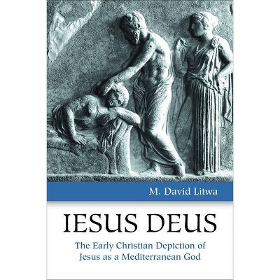 Iesus Deus - by  M David Litwa (Paperback)