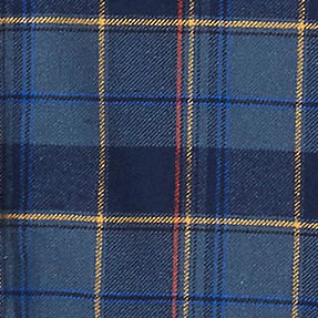 navy/blue plaid