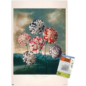 Trends International A Group Of Carnations Unframed Wall Poster Prints - 1 of 4