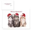 25ct Christmas Cats Greeting Cards - Masterpiece Studio - 3 of 4