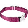 Country Brook Petz Heavyduty Nylon Martingale with Premium Buckle - 4 of 4