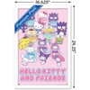 Trends International Hello Kitty and Friends: 24 Summer Fresh - Group Framed Wall Poster Prints - 3 of 4