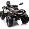 Kids ATV, 24V Licensed BRP Electric ATV 4 Wheeler for Kids, Ride On Toy Car, 4WD Battery Powered Ride On Car with 2 Seater - 3 of 4
