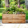 TUYOHW Metal Planter Box, Rectangular Planter Box with Drainage Holes, Large Planters with Removable Shelf for Outdoor Plants, Black - 2 of 4