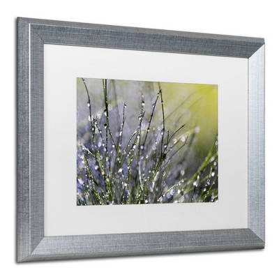 Trademark Fine Art -Beata Czyzowska Young 'Spring Morning' Matted Framed Art