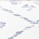 ivory/light gray