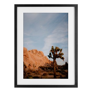 Stupell Industries Joshua Tree & Canyon Framed Print Under Glass Art - 1 of 4
