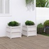vidaXL - 2 Pcs Garden Planters in White Solid Pine Wood - Outdoor/Indoor Decorative Flower Box - 19.7"x19.7"x19.7" Square - 2 of 4