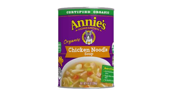 Annie's Organic Chicken Noodle Soup - 14oz, 2 of 12, play video
