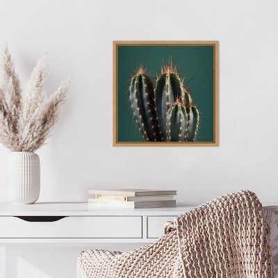Green and Brown Framed Cactus Canvas Wall Art 16 x 16-in.