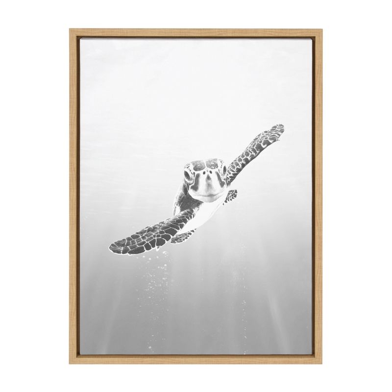 18&#34; x 24&#34; Sylvie Sea Turtle Framed Canvas Wall Art by Tai Prints Natural - Kate and Laurel, 1 of 8