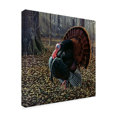 Trademark Fine Art -Wilhelm Goebel 'The King Of Spring Wild Turkey' Canvas Art