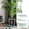 2PC Tall Round Tapered Planter, Indoor/Outdoor Self Watering Pots, Large Flower Pot Outdoor with Built-in Drainage and a Water Level for Home - 3 of 4