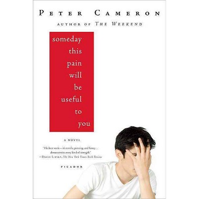 Someday This Pain Will Be Useful to You - by  Peter Cameron (Paperback)