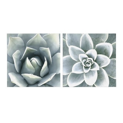 Soft Botanical Succulents Green and Gray Canvas Wall Art Set