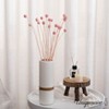 Uniquewise Preserved Real Floral Stems Chic Vase Fillers & Accents for Bouquets Centerpieces - 2 of 4