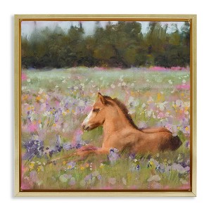 Stupell Industries Foal Horse Lounging Flower Meadow, 18" x 18" - 1 of 4