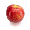 Organic Lady Alice® Apples, 32 oz - Harris Teeter