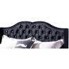 Passion Furniture Joy Jewel Jewel Tufted Queen Panel Bed - 3 of 4