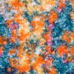 blue/orange
