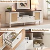 Rattan Entertainment Center TV Media Console Table, Modern TV Stand with Storage and Mesh Door, TV Console Cabinet Furniture for Living Room - 4 of 4