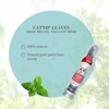 Bioline Catnip Leaves, 0.18oz - 2 of 2
