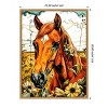 Amanti Art Horse and Daisies by Justyna Jaszke Framed Canvas Wall Art - 3 of 4