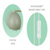 Molly 1-Light Plug-In or Hardwire Wall Sconce - Globe Electric - 3 of 4