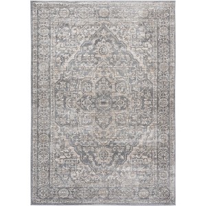 Brentwood BNT832 Power Loomed Indoor Rugs - Safavieh - 1 of 4