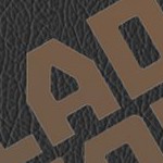 tennessee volunteers