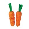 AE Cage Company Nibbles Carrot Loofah Chew Toys with Jute - 2 count - image 2 of 3