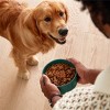 Jinx Pate Chicken, Sweet Potato and Carrot Wet Dog Food - 13oz - 4 of 4